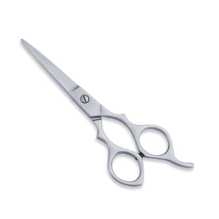 Economy Hair Scissors